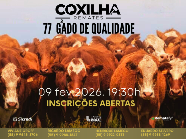 77º Remate Gado de Qualidade