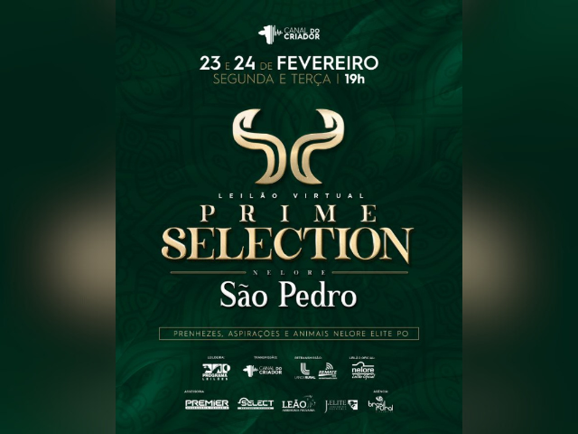 Leilão Virtual Prime Selection Nelore São Pedro
