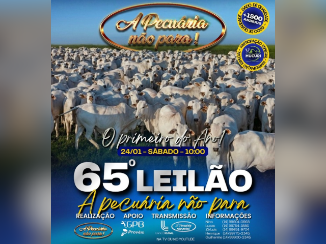 65º Leilão A Pecuária Não Para
