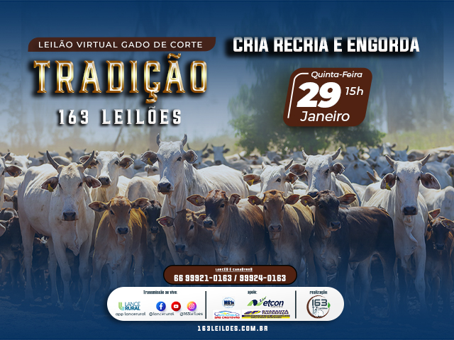 Leilão Virtual Gado de Corte Tradição
