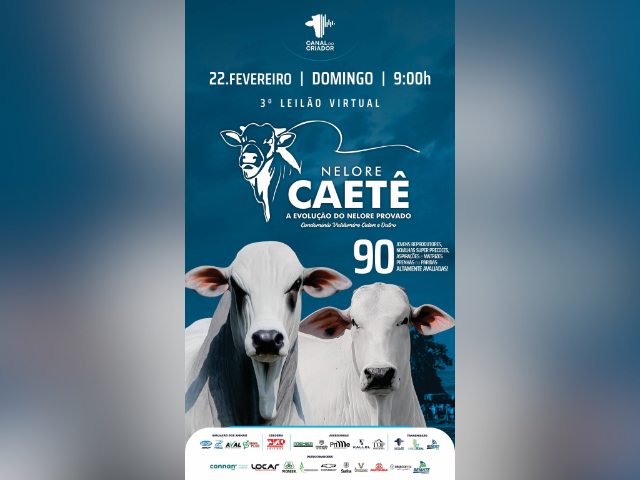 3º Leilão Virtual Nelore Caetê