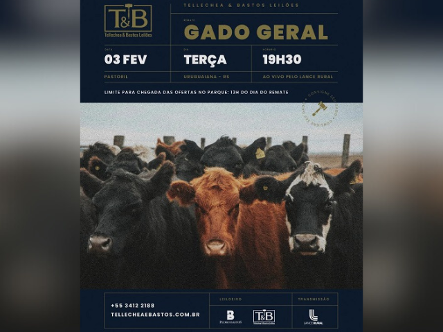 Remate Gado Geral TB