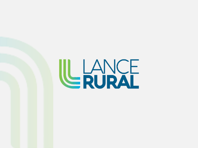 Leilão Virtual Gado de Corte Tradição