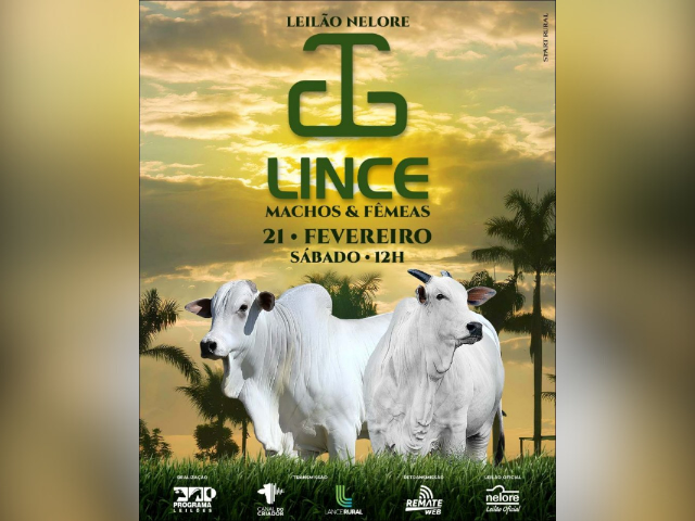 Leilão Nelore Lince – Machos e Fêmeas