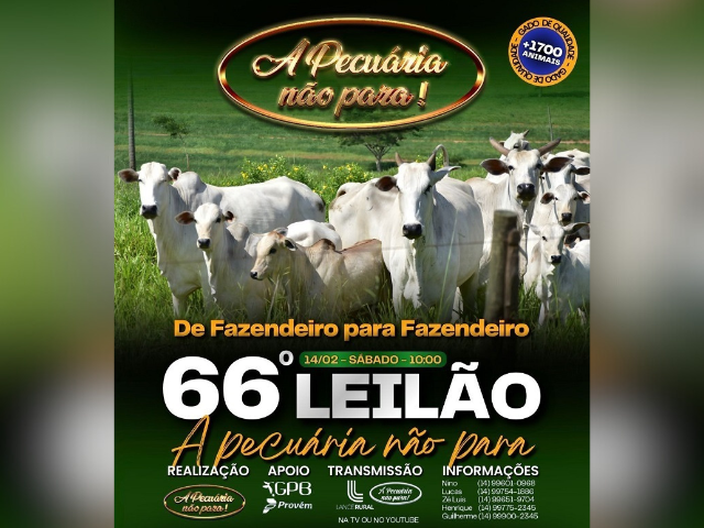 66º Leilão A Pecuária Não Para