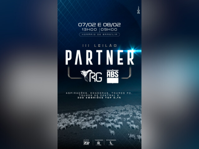 Leilão Partner RG & ABS – 2ª Etapa