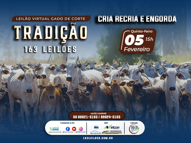 Leilão Virtual Gado de Corte Tradição