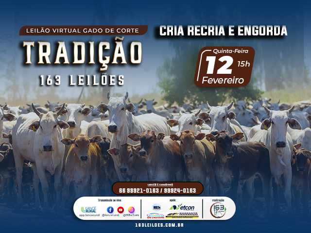 Leilão Virtual Gado de Corte Tradição