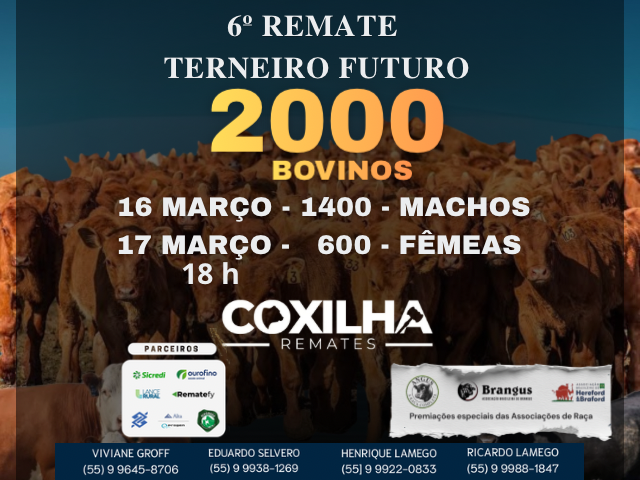 6º Terneiro do Futuro