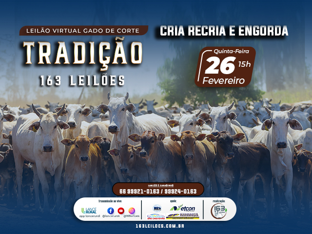 Leilão Virtual Gado de Corte Tradição