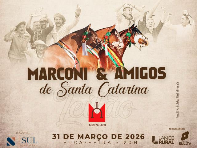 Leilão Marconi & Amigos de Santa Catarina