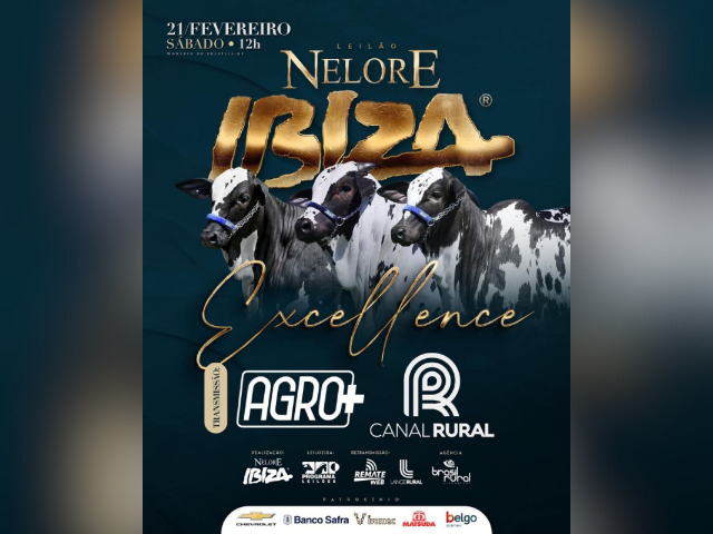 Leilão Virtual Nelore Pintado Ibiza – Excellence