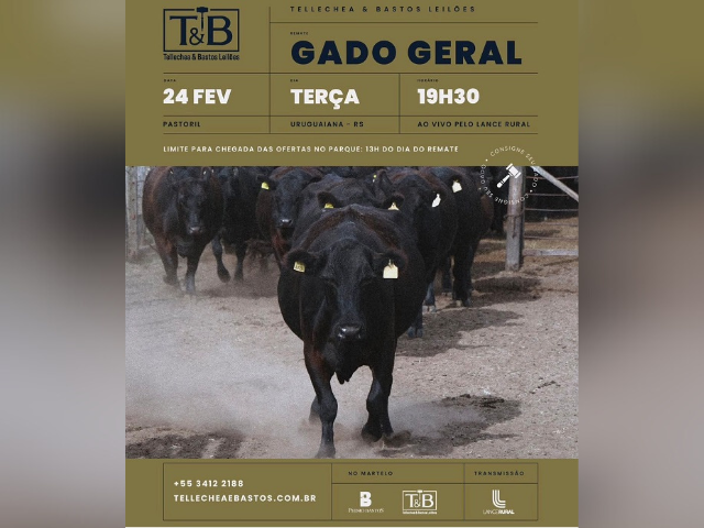 Remate Gado Geral TB