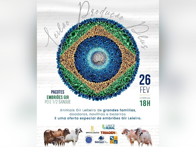 Leilão Produção Plus