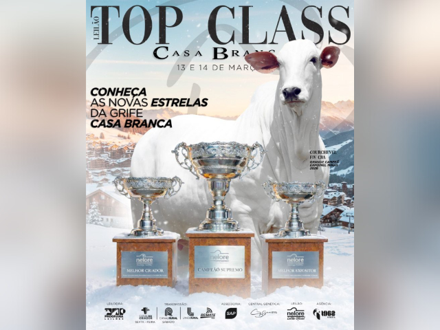 Leilão Top Class Casa Branca