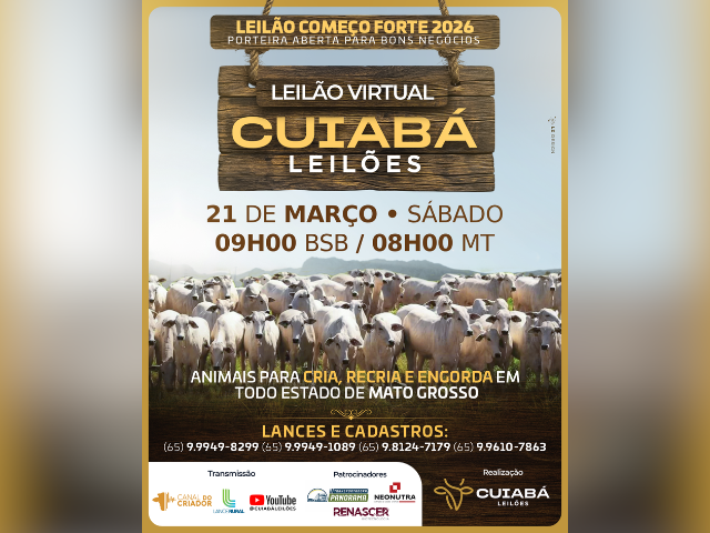 Leilão Virtual Cuiabá Leilões