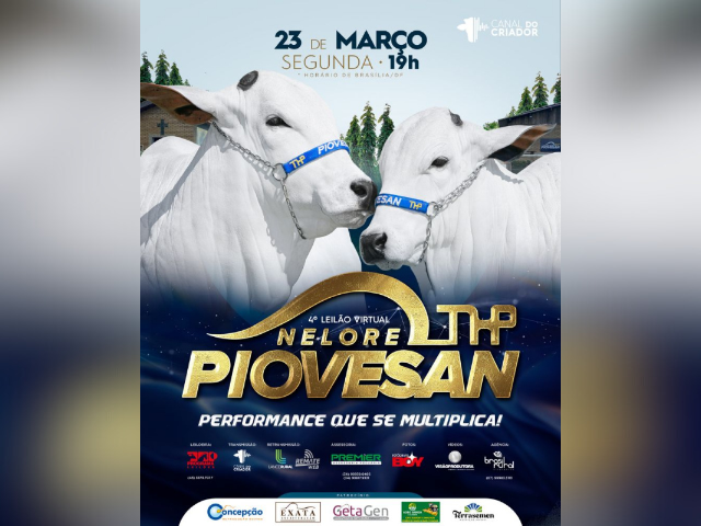 4º Leilão Virtual Nelore Piovesan