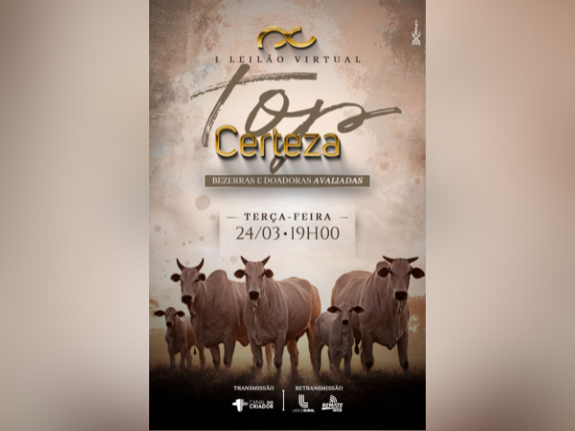 1º Leilão Virtual Top Certeza