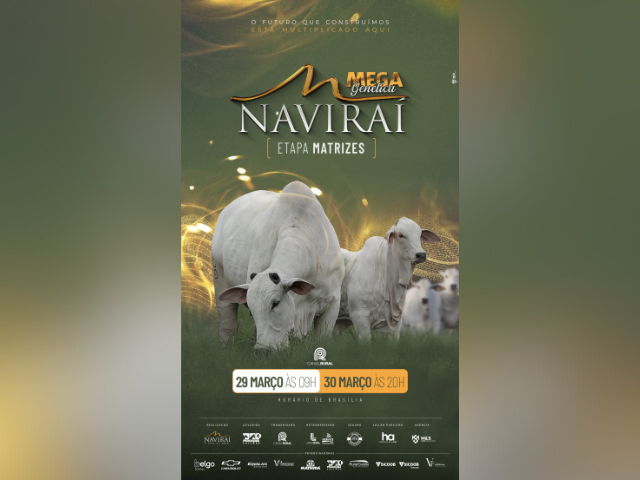 Mega Genética Naviraí – Etapa Matrizes