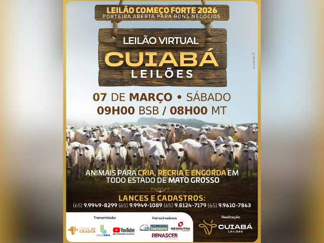 Leilão Virtual Cuiabá Leilões