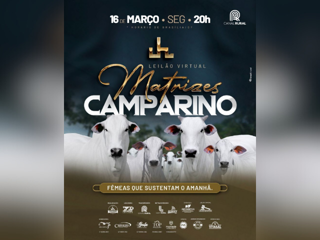 Leilão Virtual Matrizes Camparino