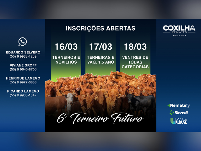 6º Terneiro do Futuro