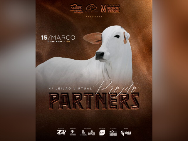 4º Leilão Virtual Projeto Partners