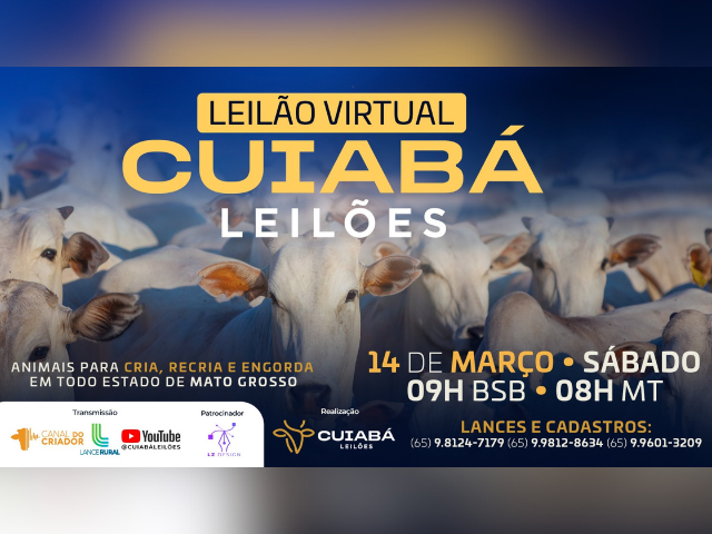 Leilão Virtual Cuiabá Leilões