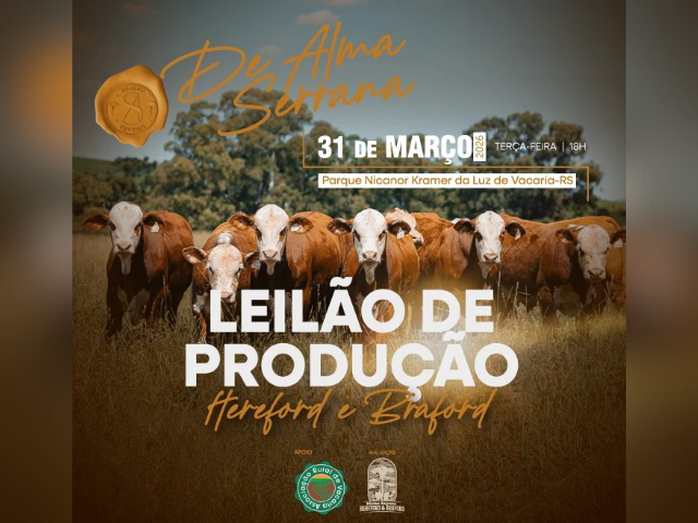 Leilão de Produção Núcleo Serrano de Hereford e Braford