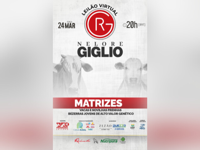 Leilão Virtual Nelore Giglio – Etapa Matrizes