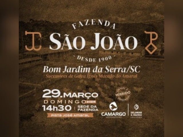 5º Leilão Fazenda São João
