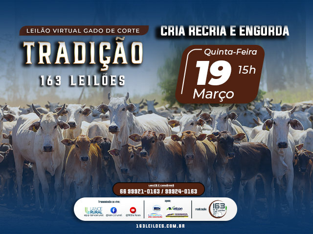 Leilão Gado de Corte Tradição