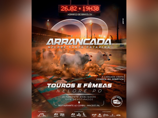 Leilão Arrancada Nelore Santa Catarina