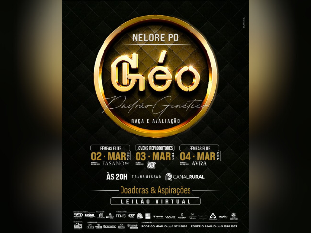 Leilão Virtual Nelore PO Géo Padrão Genético – Fêmeas Elite