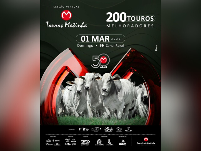 Leilão Virtual Touros Matinha