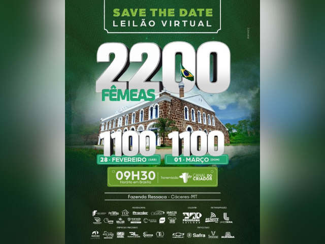 Leilão Virtual Fazenda Ressaca – Fêmeas