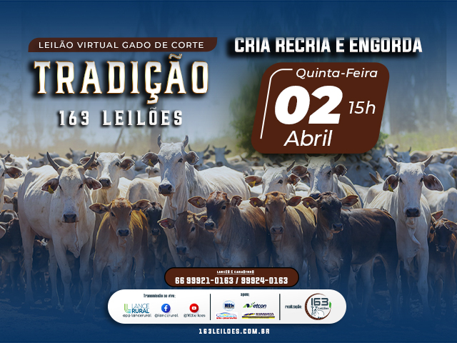 Leilão Virtual Gado de Corte Tradição