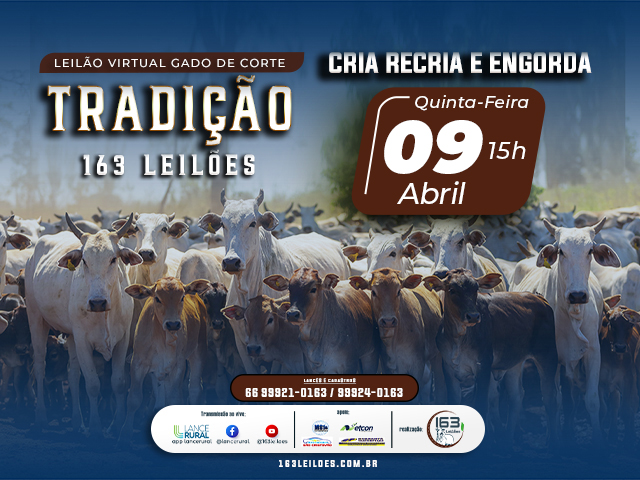 Leilão Virtual Gado de Corte Tradição