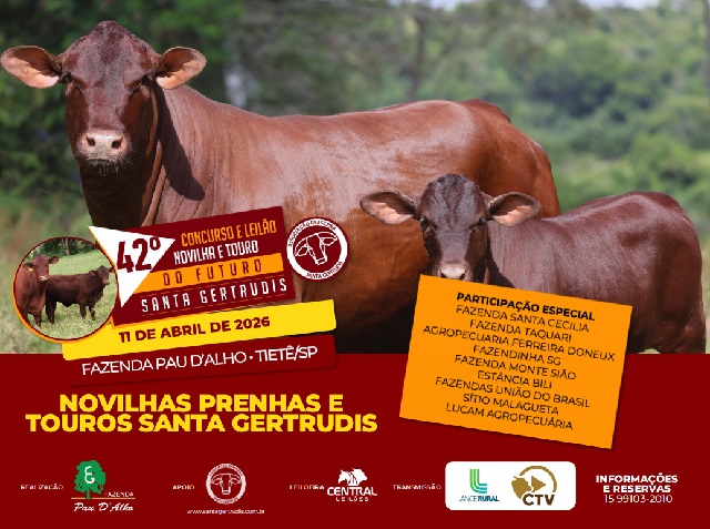 42º Concurso e Leilão Novilhas e Touro do Futuro