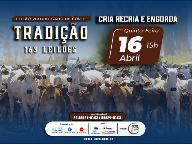 Leilão Virtual Gado de Corte Tradição