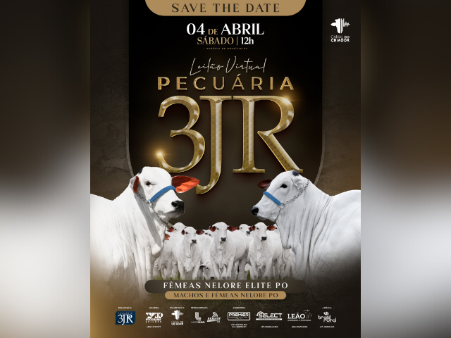 Leilão Virtual Pecuária 3JR