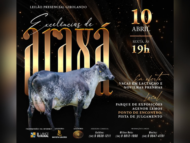 Leilão Presencial Girolando Excelências de Araxá