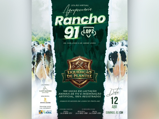 Leilão Virtual Agropecuária Rancho 91