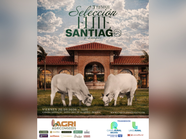 3º Remate Seleccion Elite Santiago y Amigos