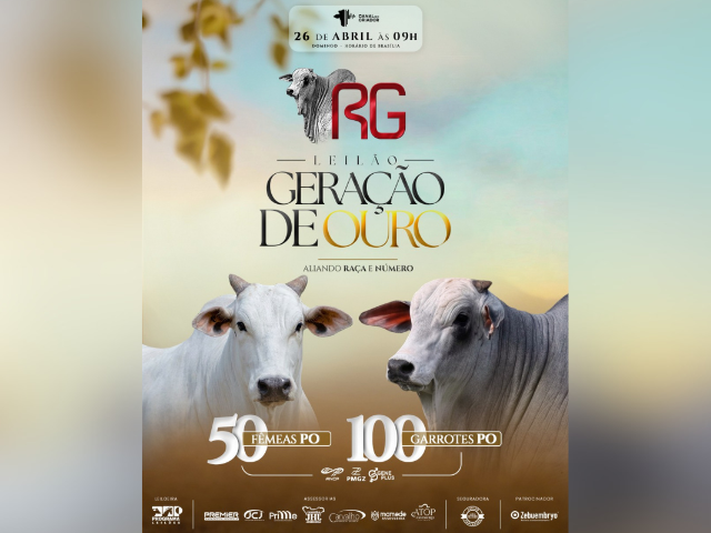 Leilão Geração de Ouro RG