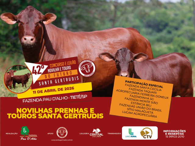 42º Concurso e Leilão Novilhas e Touro do Futuro