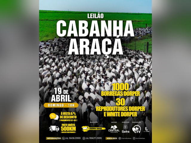 Leilão Cabanha Araça
