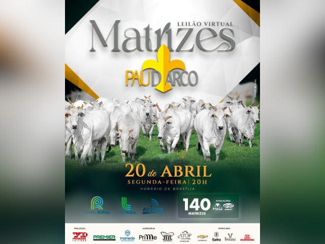 Leilão Virtual Matrizes Pau D’Arco