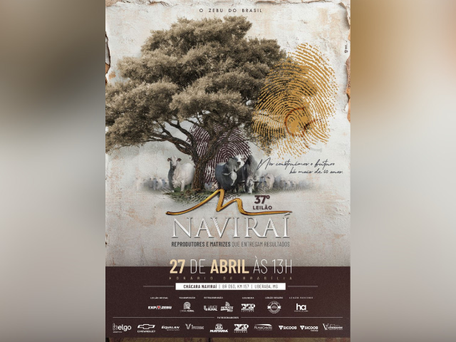 37º Leilão Naviraí