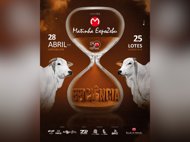 Leilão Matinha Expozebu – Etapa Eficiência